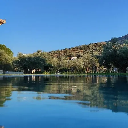 Ξενοδοχείο Brisot 4*